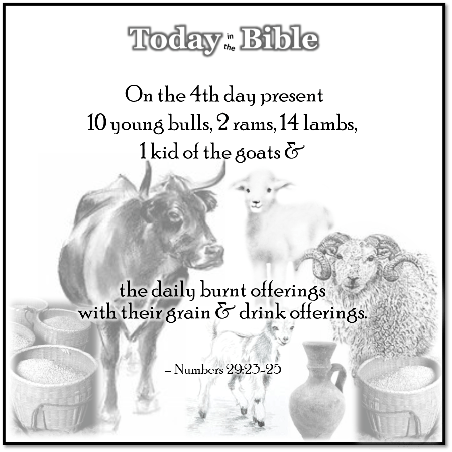 Tishrei 18 – Sukkot, Day 4 – The&nbsp;Offerings