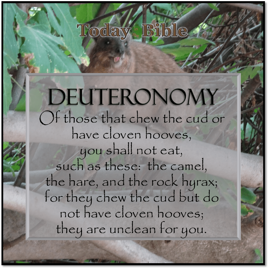 Shevat 15 – You shall not eat any detestable&nbsp;thing…