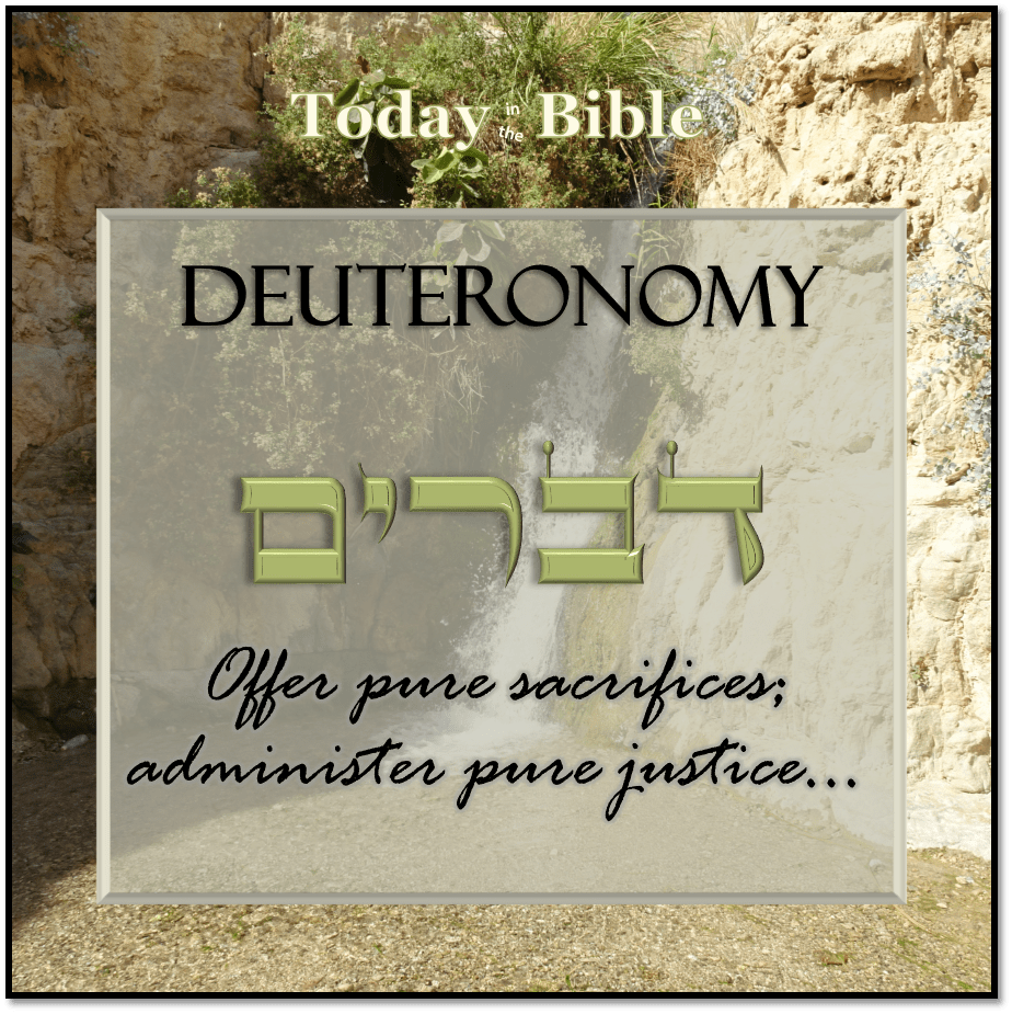 Shevat 18 – Offer pure sacrifices; administer pure&nbsp;justice…