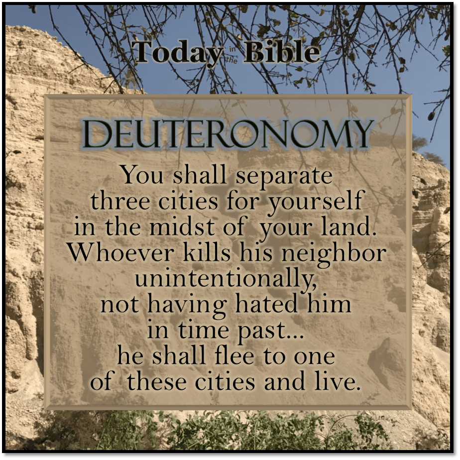 Shevat 20 – He shall flee to one of these cities and&nbsp;live…
