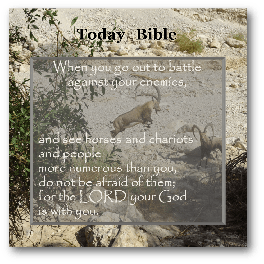 Shevat 21 – When you go out to battle against your&nbsp;enemies…