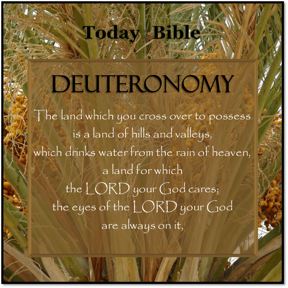 Shevat 12 – A land flowing with milk and&nbsp;honey…