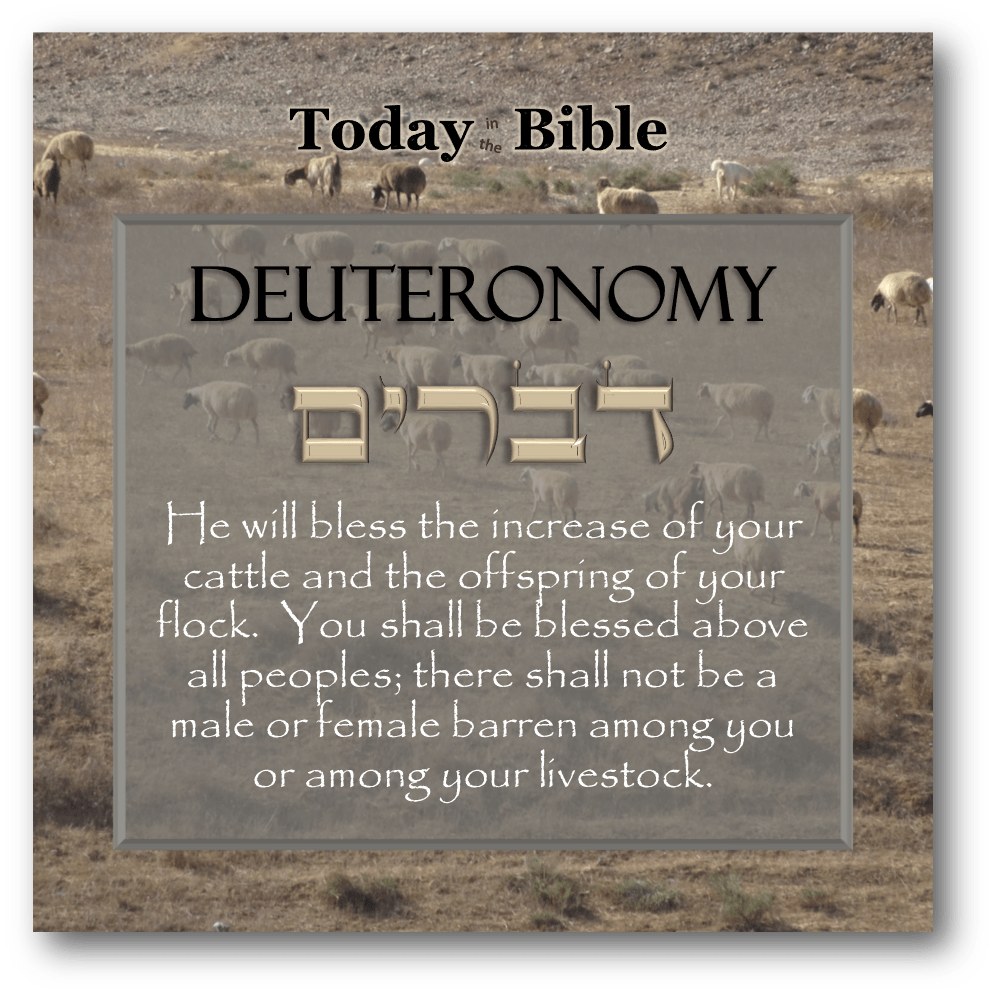 Shevat 8 – He will increase the offspring of your&nbsp;flock…