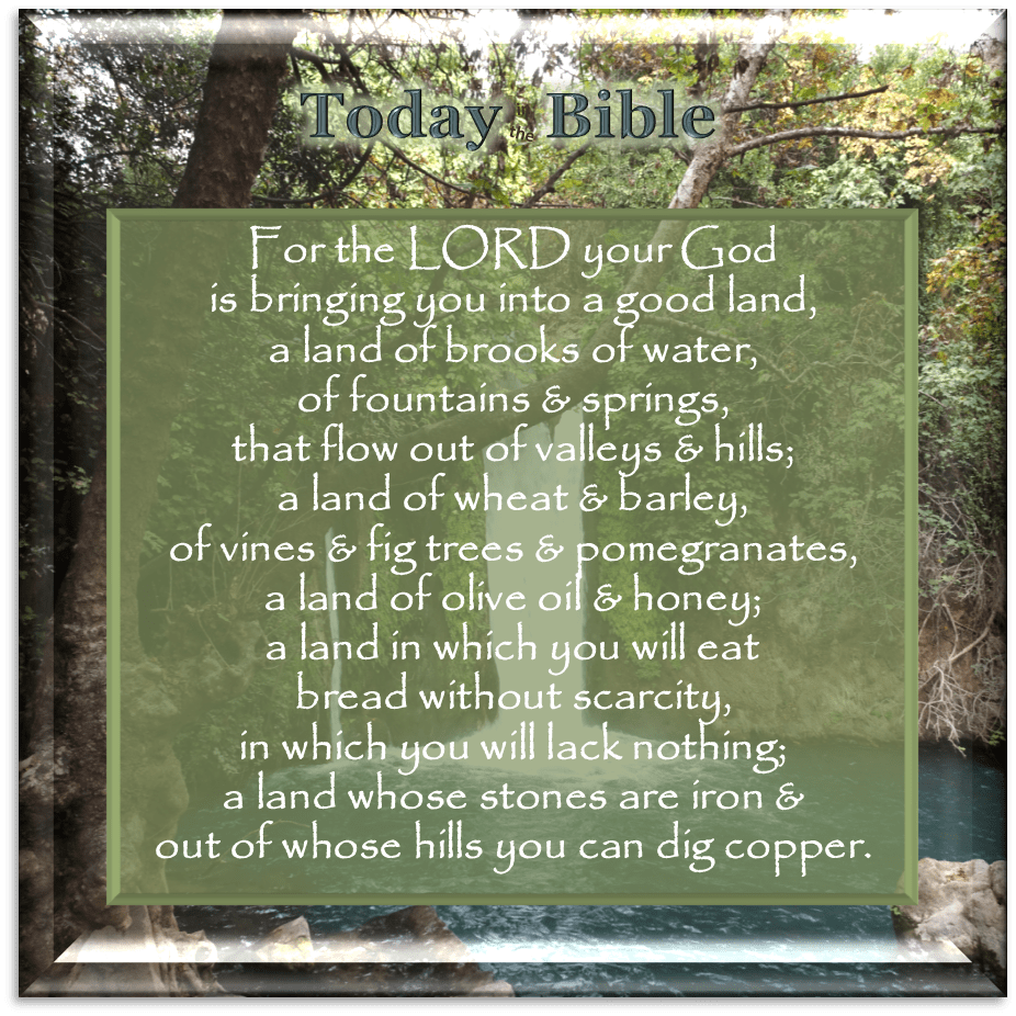 Shevat 9 – For the LORD your God is bringing you into a land of brooks, fountains and&nbsp;springs…